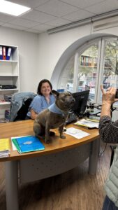 entreprise dog friendly