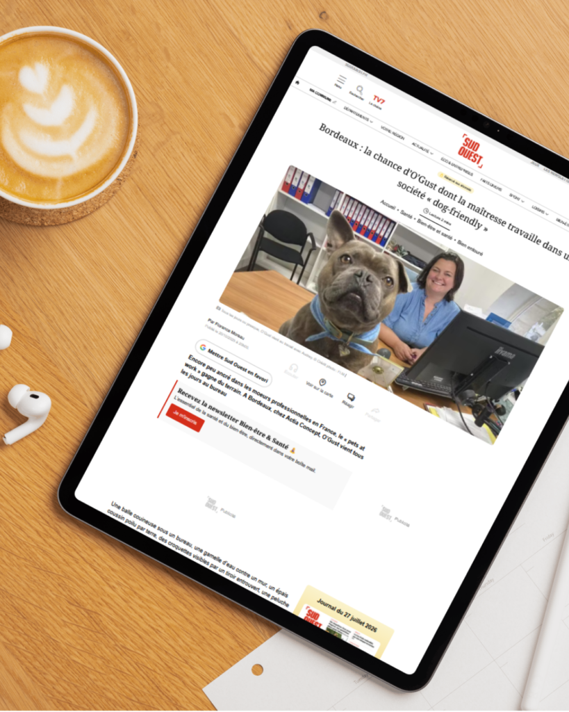 Actia Concept entreprise Dog-Friendly Article du Sud Ouest